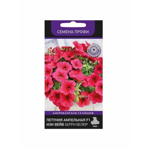 ������ ������ ������ ������� ��������� �3 ��� ���� ���� ����� ���� 5 ��. ����