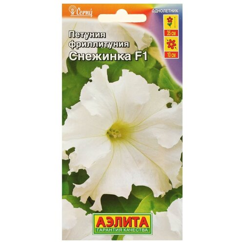 ������ ������ ������ ������ ����������� �������� F1 ��������������� �����������, 10 �� ����