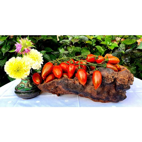 ������ ������ ������ ������ ��������� ����������� (Tomarindo Multicolor) / Seeds And Goods / � �������� zip-lock ��� ���������� 10 ����� ����