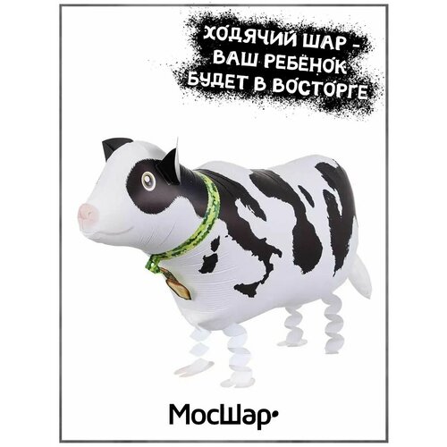 ������ ������ ��������� ��� ������� ������ ������� ����