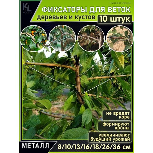 ������ ������ KoLeli / ����� / ������������� ��������� ��� ����� / �������� ��� ��������, 10 ���� ����