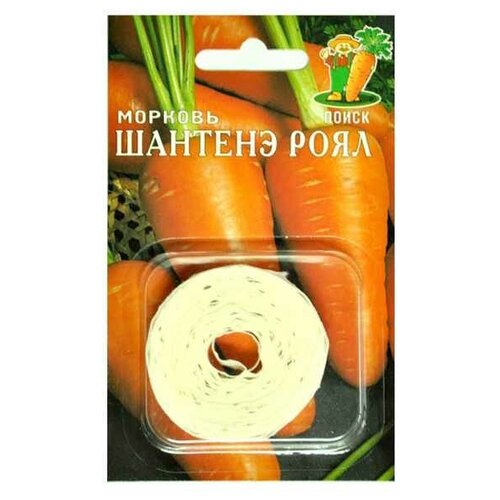 ������ ������ ������ ����� ������� ������� ���� ����� 8 � ����