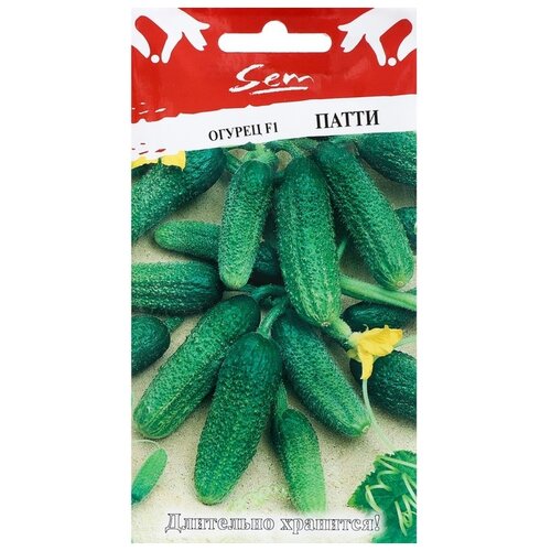 ������ ������ ������ ������� ������ ������ ����� F1 10 ��. ����