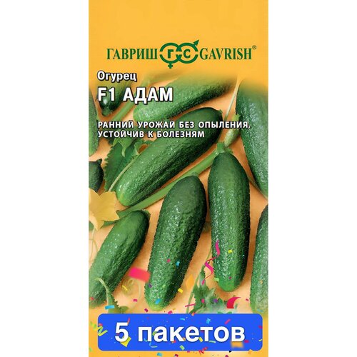 ������ ������ ������ ������ ������ 