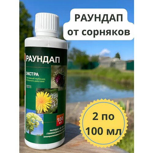 ������ ������ ������� �� �������� 200�� ����