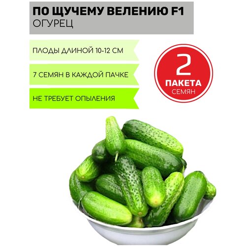 ������ ������ ������ �� ������� ������� F1 2 ������ �� 7�� ����� ����