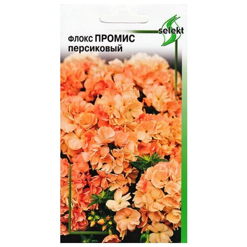 ������ ������ ����� ������, ����������, 9 ����� ����