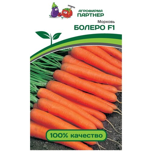 ������ ������ ������ �������. ������� 