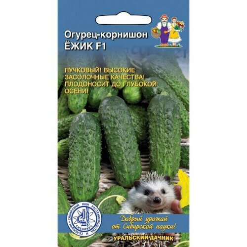 ������ ������ ������ ������ �������� 