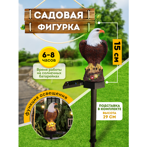 ������ ������ ������� ������� ��� ���� � ����. ���������� �� ��������� �������. ���� ����