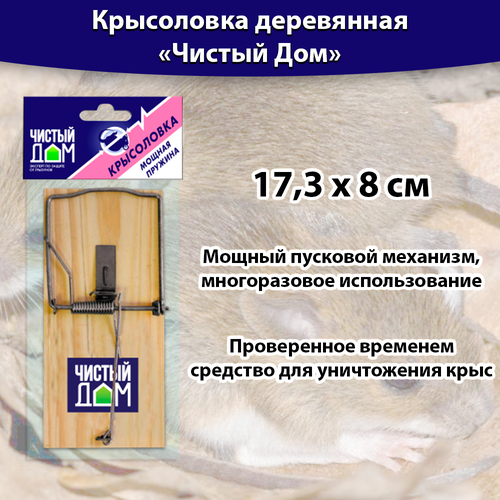 ������ ������ ���������� ���������� 17,3 � 8 ��, ������ ��� ����