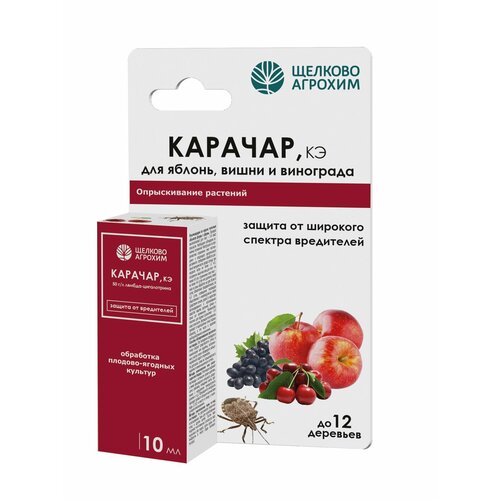 ������ ������ ���������� ������� ������� ������� 10 �� ����