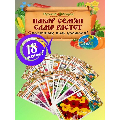 ������ ������ ����� ����� ���� ������ ����