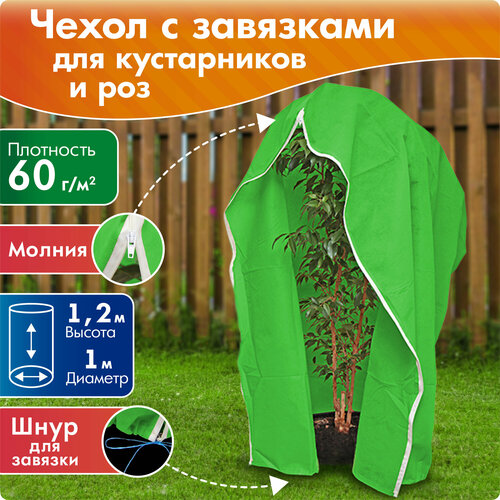 ������ ������ ����� ��� ����������� � ��� �� ������, ������ 1,2 �, ������� 1 � ����