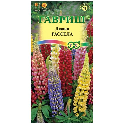 ������ ������ ������ ����� �������, ����� 0,5 �� ����