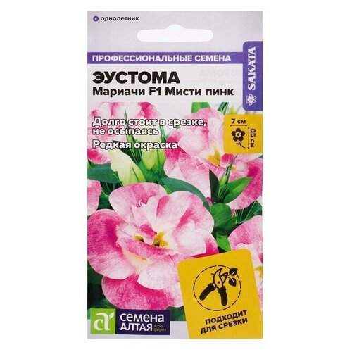 ������ ������ ������ ������ ������� 