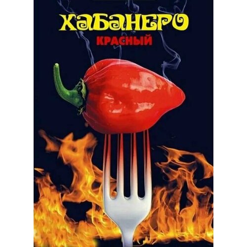 ������ ������ ������������� ������ ����� ������� �������� ������� ����