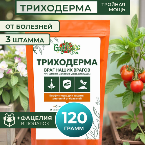 ������ ������ ���������� 3 ������ , 120� ����