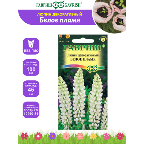 ������ ������ ����� ������������ ����� ����� ������ ����