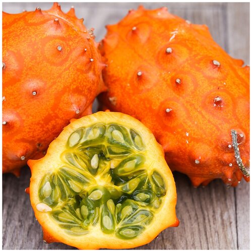 ������ ������ ������ ��������� ����������� ������ ������, 5 �� ����