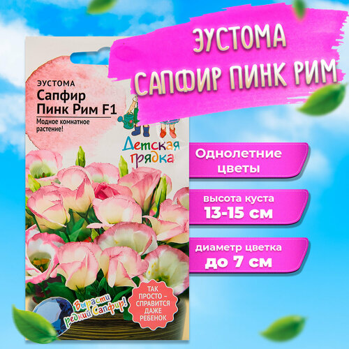 ������ ������ ������ ������� ������ ���� ��� 5 �� ����������� ����