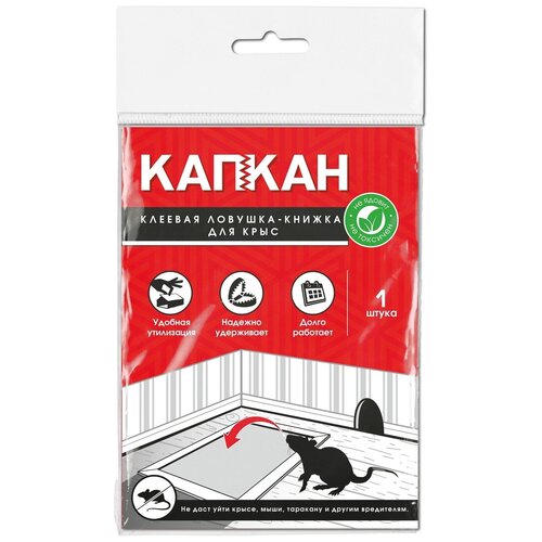 ������ ������ �������� ������ ������ ������� �������-������ ��� ���� hk29034 ����