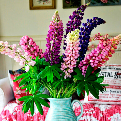 ������ ������ ����� ������������ ����, ������, 30 �� ����