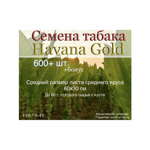������ ������ ������ ������ Havana Gold ����