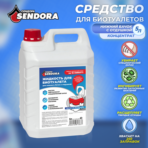 ������ ������ �������� ��� ������� ����� � ����������� 5� ����