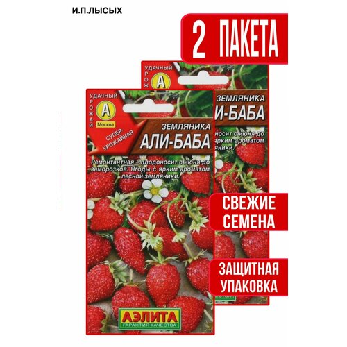 ������ ������ ������ ��������� ���-���� ����