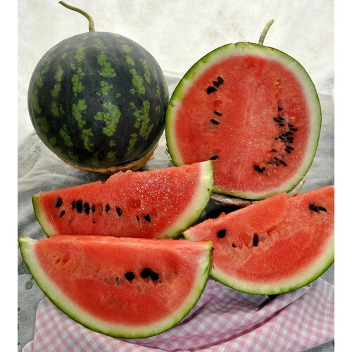 ������ ������ ����� F1 ������� ������ 10 ���� ����� ������� ������ ����