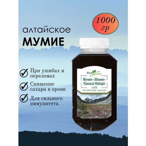 ������ ������ ���� ��������� ����� ����-�������� ��� �������� � ������ ������������, 1000 �� ����