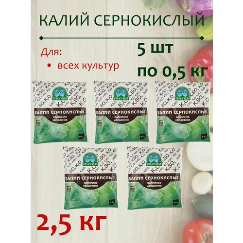 ������ ������ ��������� ����� �����������, 2.5 �� ����