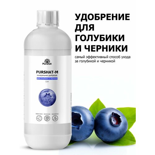 ������ ������ ��������� ��� �������� � ������� ������ (Purshat) 1 � ����