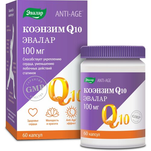 ������ ������ ������� Q10 ����., 100 ��, 0.1 �, 60 ��. ����