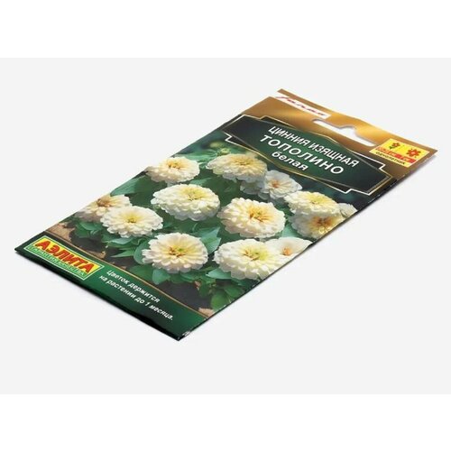 ������ ������ ������ �������� ����� ����