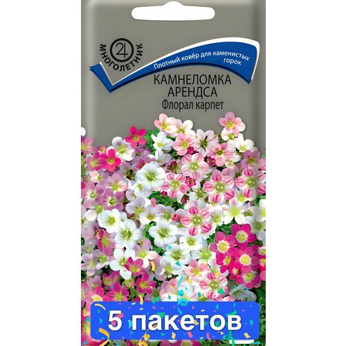 ������ ������ ����� ���������� ������� ������ ������ 5 ������� ����