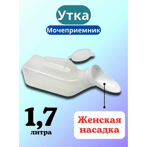 ������ ������ ������������ ���� ��� ������. ����� ���������� ������� 1,7�. ����