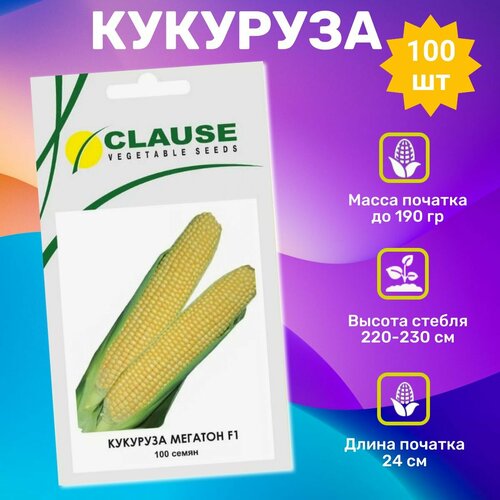 ������ ������ ������ �������� ������� F1 100 ��. ���������� �������� ����