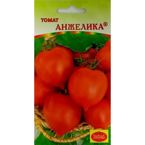 ������ ������ ������ ����� �������� 15�� �������� ������ (�����) ����