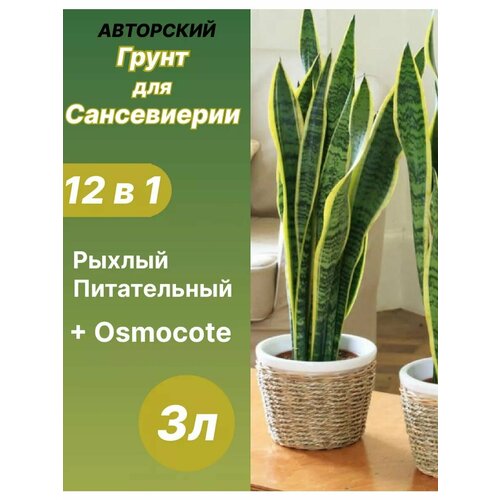 ������ ������ ����� ��� ����������� 3 � ������� ����