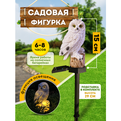 ������ ������ ������� ������� ��� ���� � ����. ���������� �� ��������� ������� ���� ����