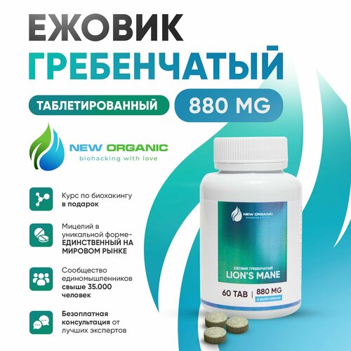 ������ ������ ������ ����������� ������� ����� 60 �������� �� 880�� Lions Mane (��������) ����