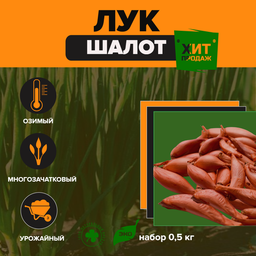 ������ ������ ��� ����� (��������, ������) ����