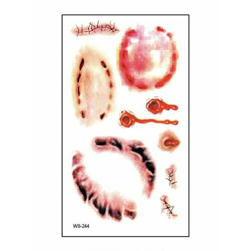 ������ ������ ���������� ��������� ���� ����� � ���� �� �������� / 10 � 6 �� ���� ����