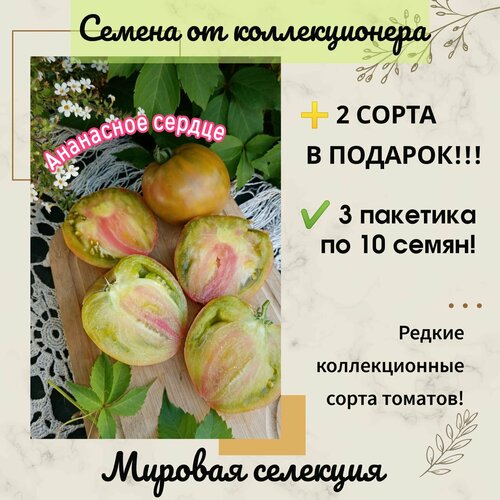 ������ ������ ����� ��������� ������, ������� ��������, ������������� ���� ����