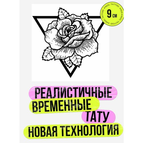 ������ ������ ���� ���������� �������������� �������� ���� ����