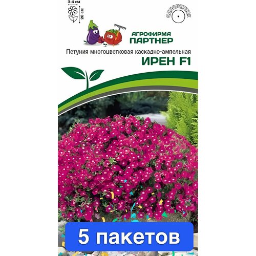 ������ ������ ����� ������� ������ ���� F1 5 ������� ����