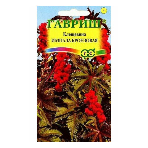 ������ ������ ��������� ������ ��������� ����