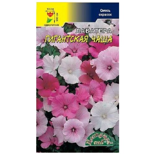 ������ ������ ������ �������� ��� 